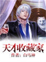 天才收藏家