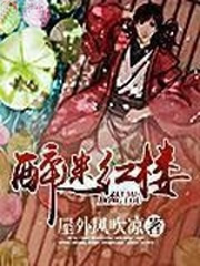  醉迷红楼 